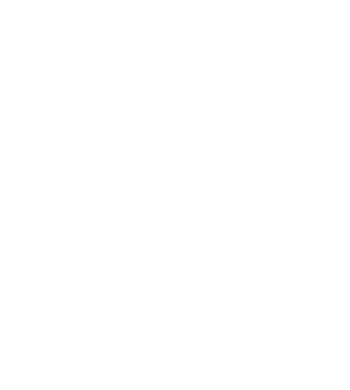 لوگوی فرزاد نیکنام فر