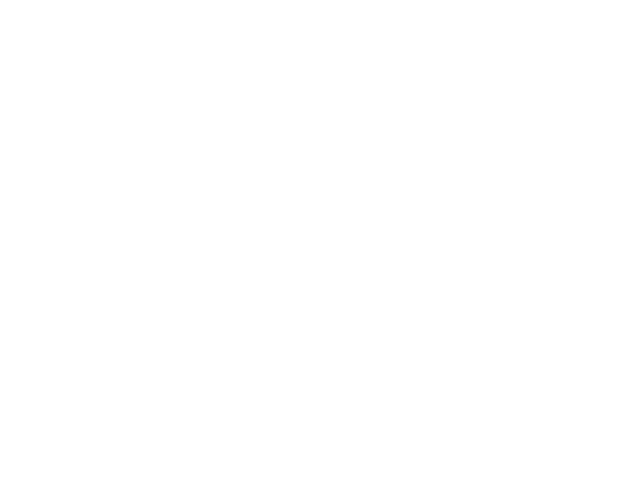 لوگوی مجتبی پیرزاد